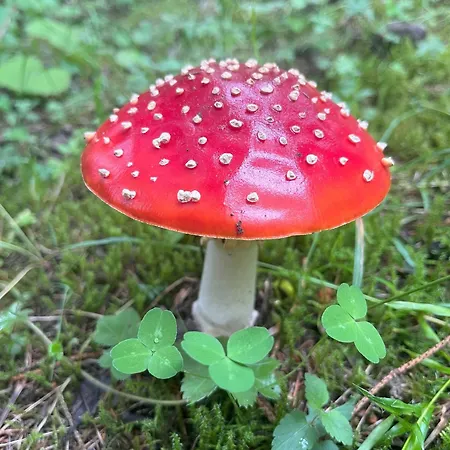 Lejlighed Nr 23 Haus Voglreiter Kaprun