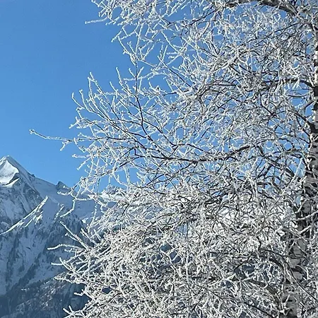 Nr 23 Haus Voglreiter Daire