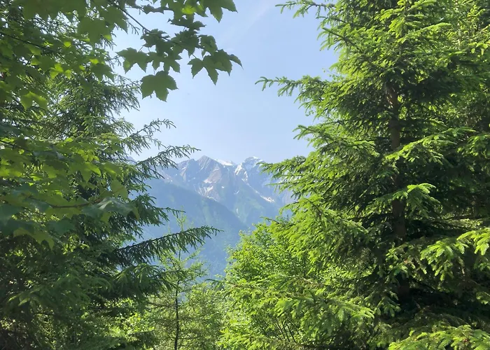 Daire Nr 23 Haus Voglreiter *