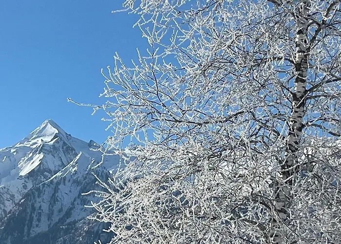 Nr 23 Haus Voglreiter Daire