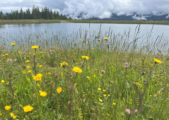 Nr 23 Haus Voglreiter